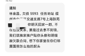 铜陵为什么选择专业追讨公司来处理您的债务纠纷？